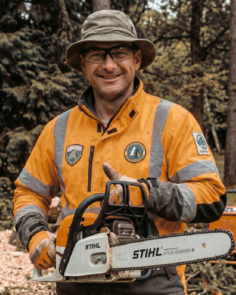 Професійне видалення дерев і догляд за садом